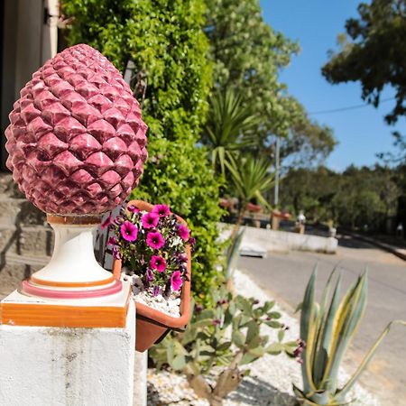 Agriturist Soleluna Caltagirone Exterior photo